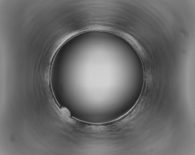 X0000112481244200908171213