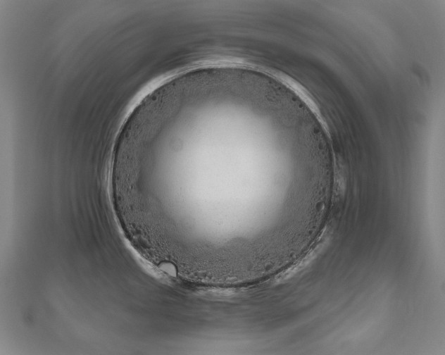 X0000112481245200908171213