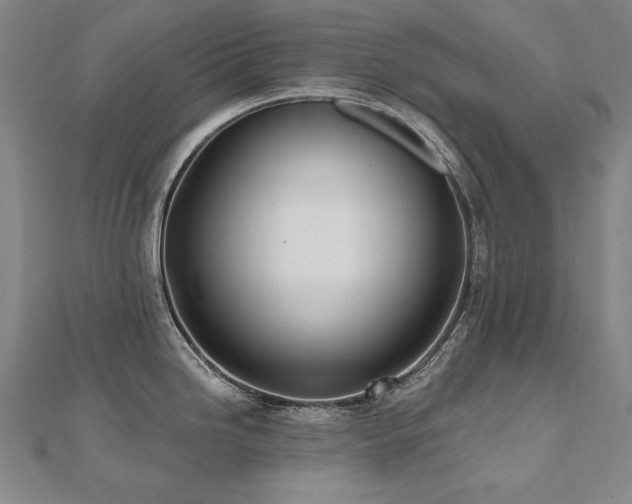 X0000112481246200908171213