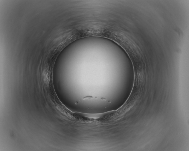 X0000112481250200908171212