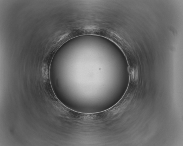 X0000112481251200908171212