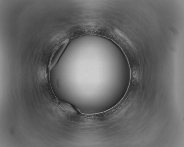 X0000112481252200908171212
