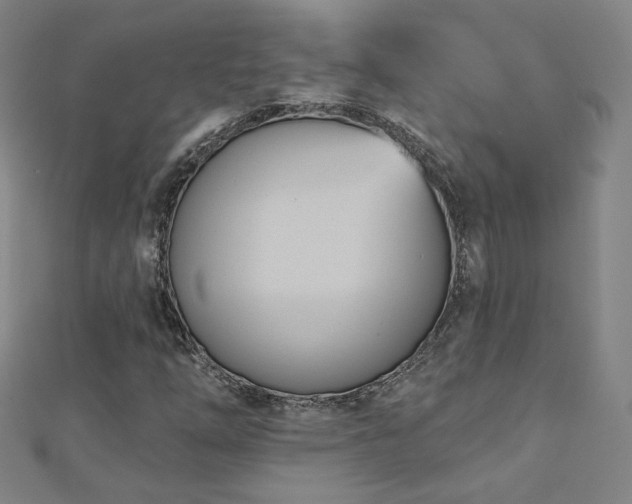 X0000112481254200908171212