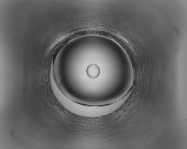 X0000112481255200908171212