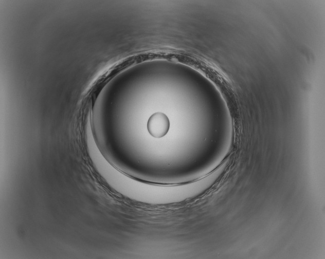 X0000112481256200908171212