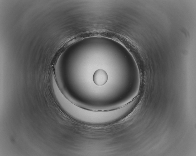 X0000112481257200908171212