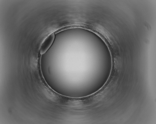 X0000112481260200908171212
