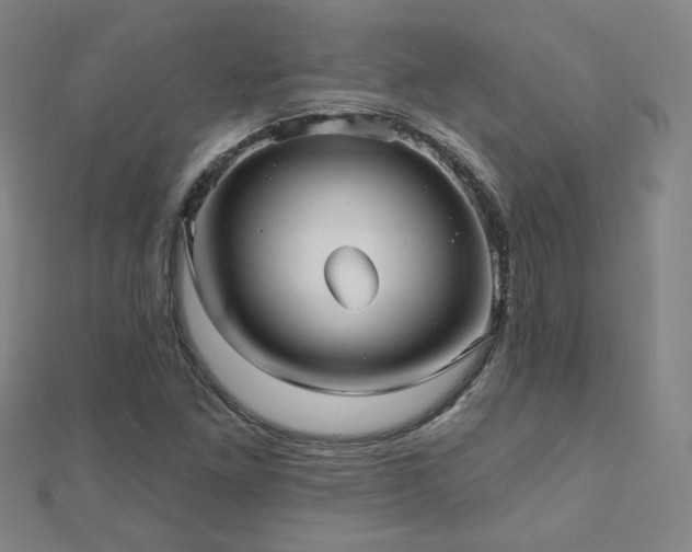 X0000112481261200908171212