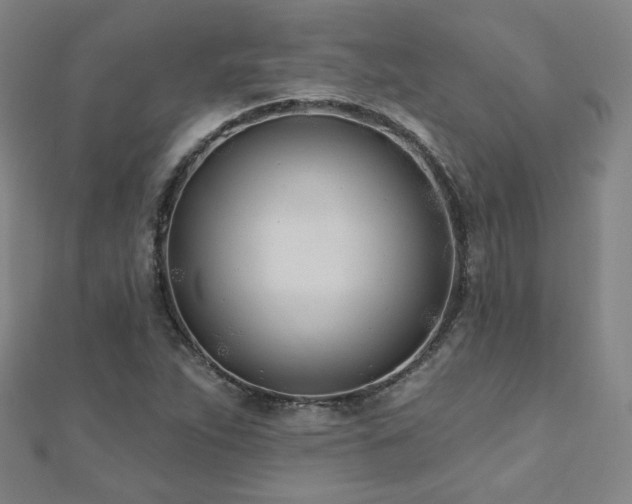 X0000112481263200908171212