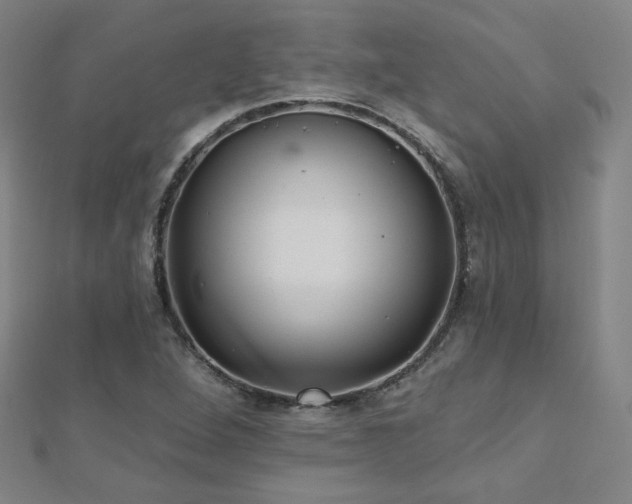 X0000112481264200908171212