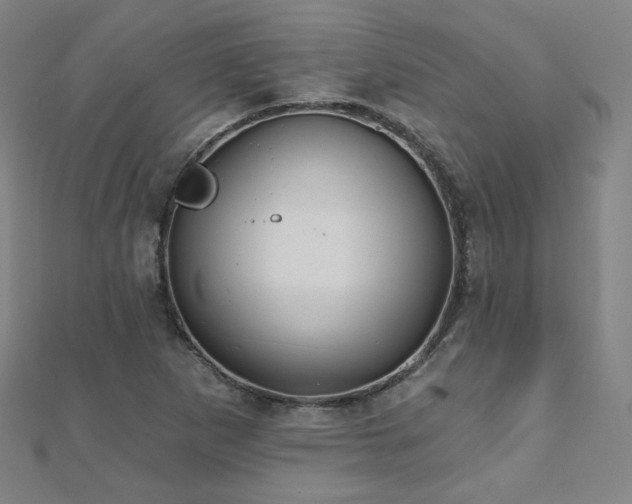 X0000112481265200908171212