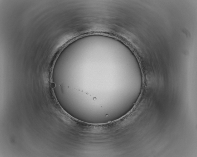 X0000112481266200908171212