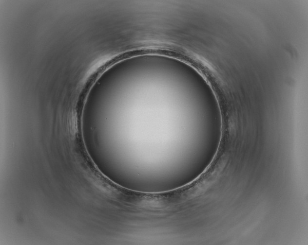 X0000112481267200908171212