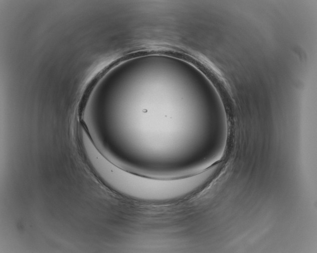 X0000112481269200908171212