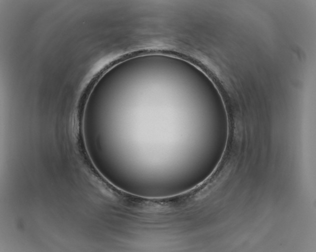 X0000112481270200908171212