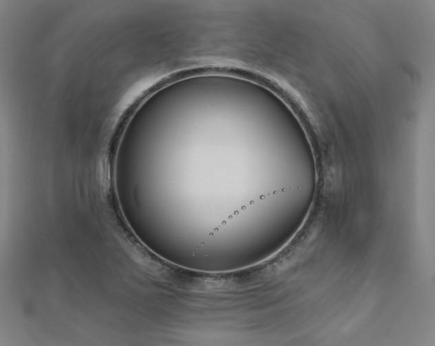 X0000112481271200908171212