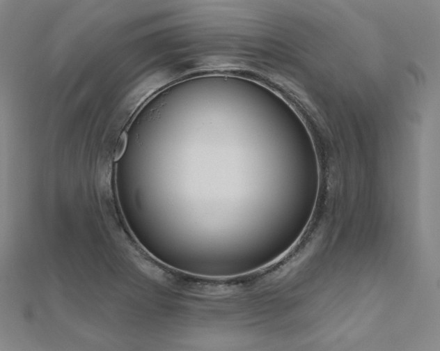X0000112481273200908171212