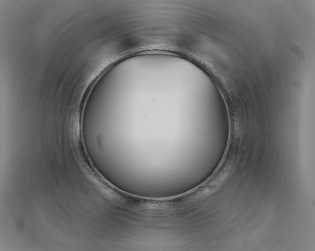 X0000112481274200908171212