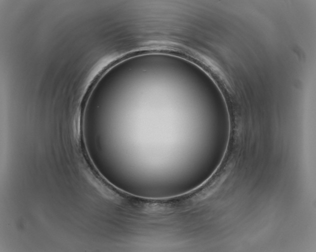 X0000112481275200908171212