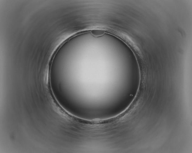 X0000112481276200908171212