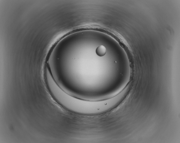 X0000112481277200908171212