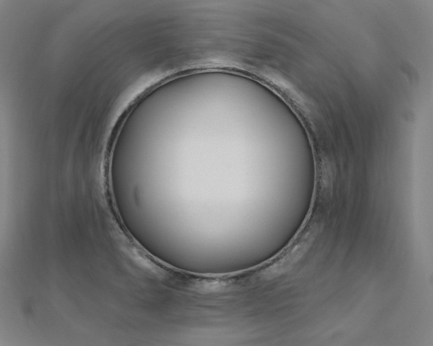 X0000112481278200908171212