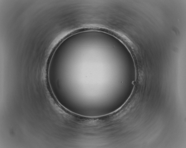 X0000112481279200908171212