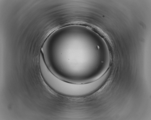 X0000112481281200908171212