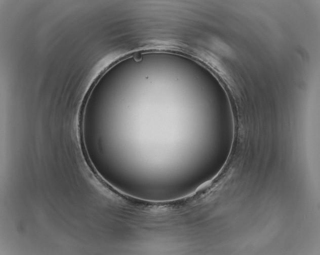 X0000112481283200908171212