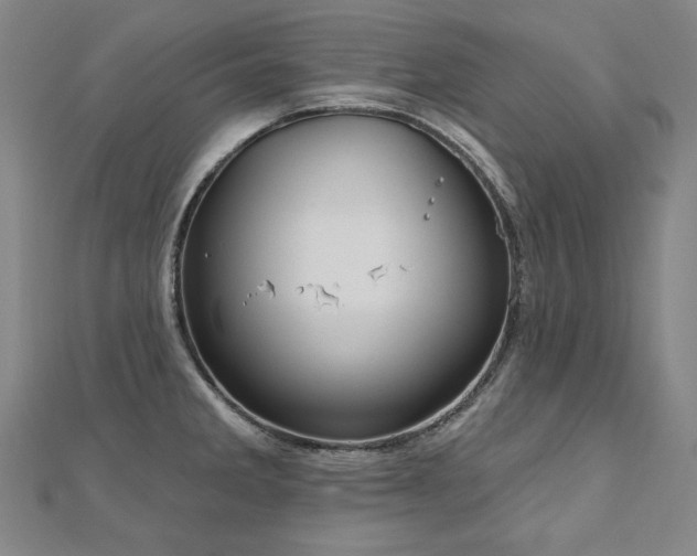 X0000112481285200908171212