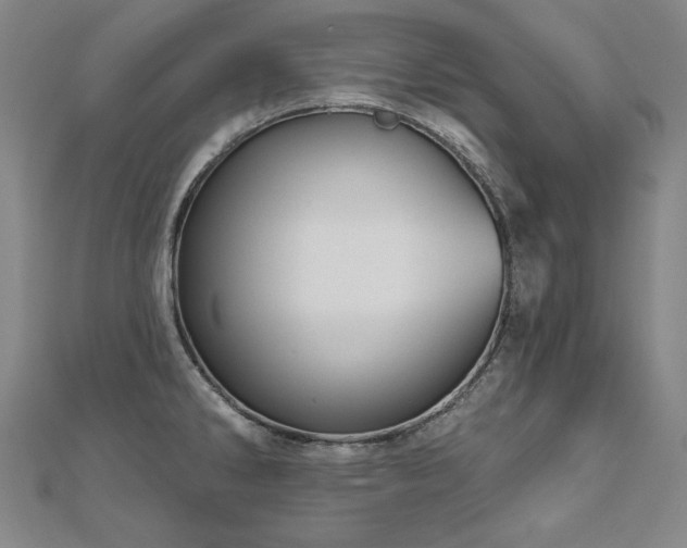 X0000112481286200908171212