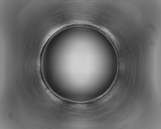 X0000112481287200908171212