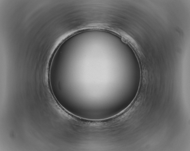 X0000112481288200908171212