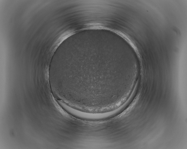 X0000112481289200908171212