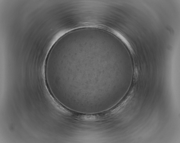 X0000112481291200908171212