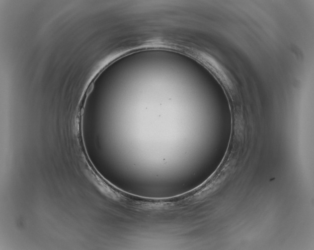 X0000112481292200908171212