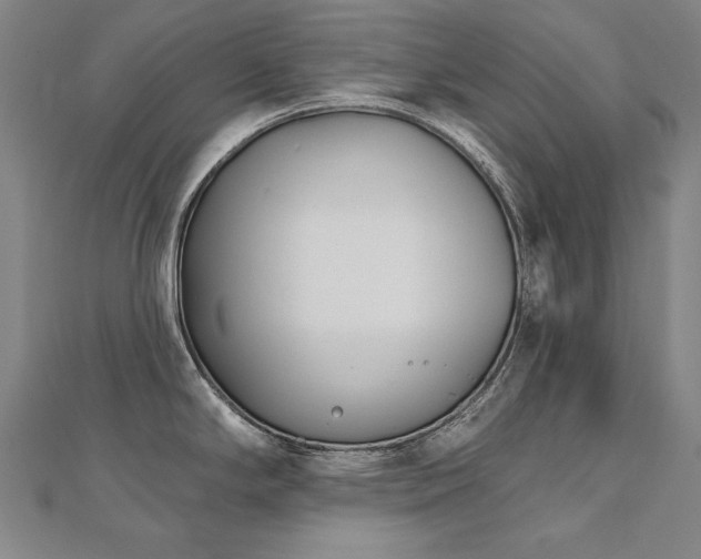 X0000112481294200908171212