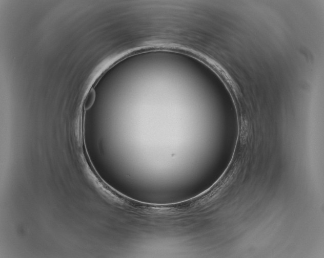X0000112481295200908171212