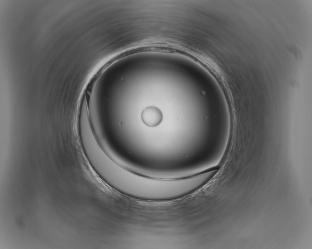 X0000112481296200908171212