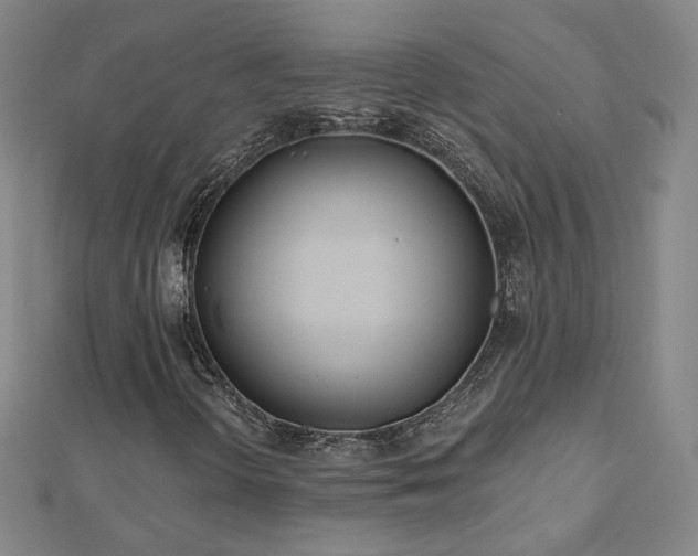 X0000112481298200908171211