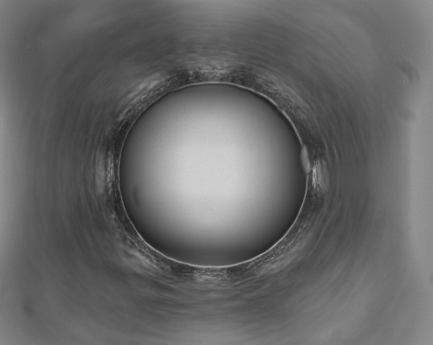 X0000112481299200908171211
