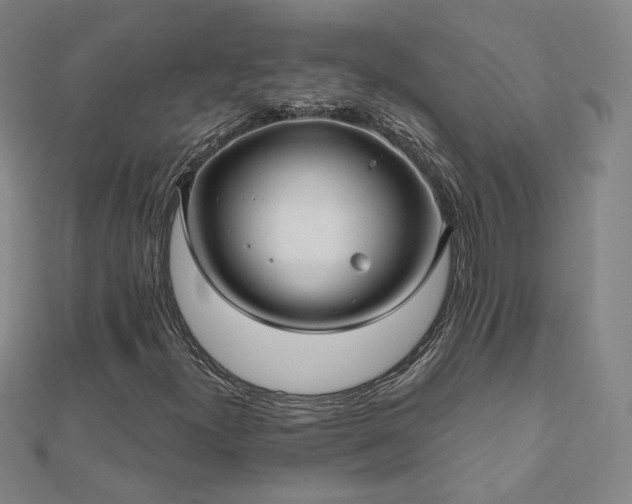 X0000112481300200908171211