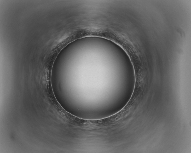 X0000112481301200908171211