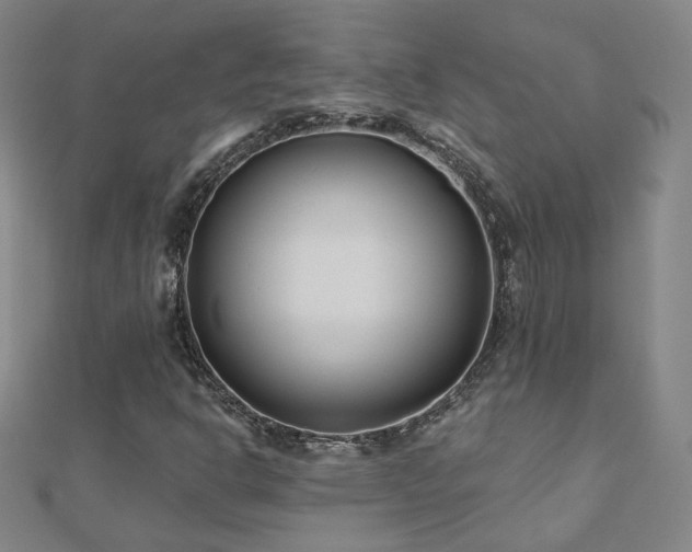 X0000112481302200908171211