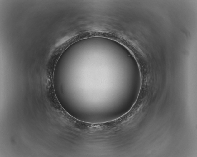 X0000112481303200908171211