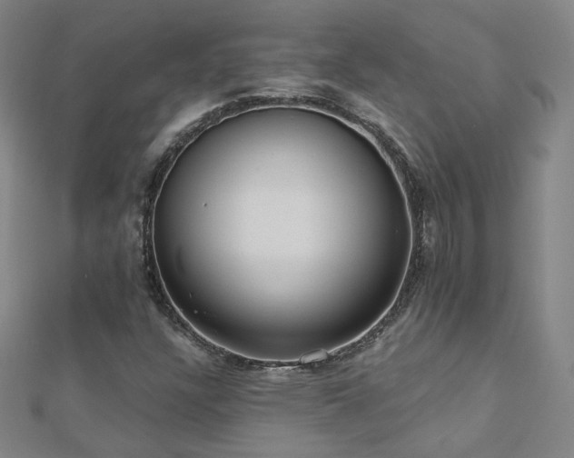 X0000112481304200908171211
