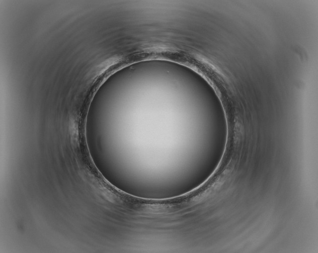 X0000112481305200908171211