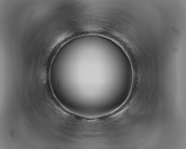 X0000112481306200908171211