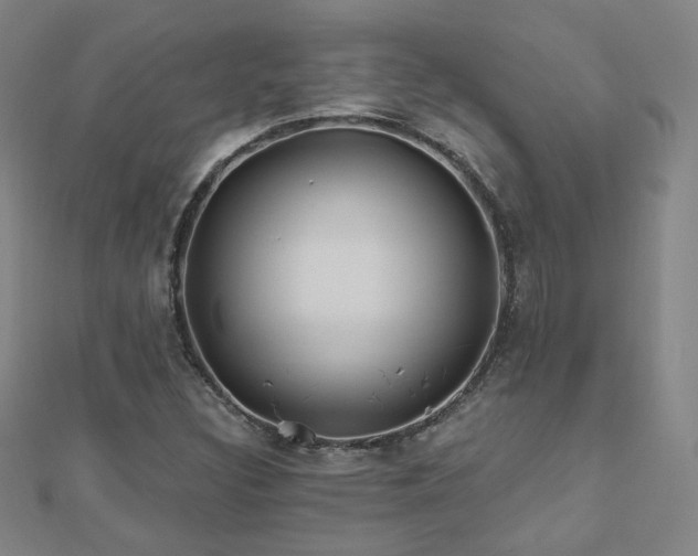 X0000112481308200908171211