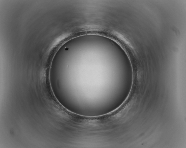 X0000112481309200908171211
